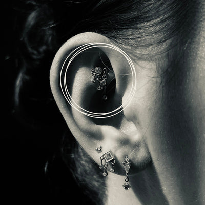 Rook
