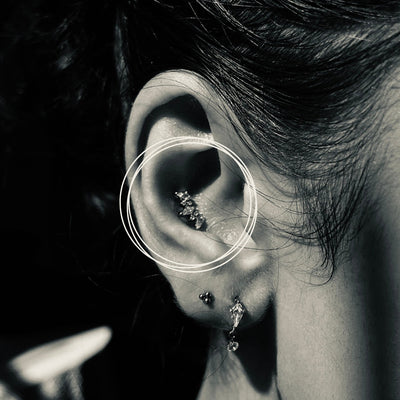 Conch