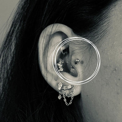 Tragus